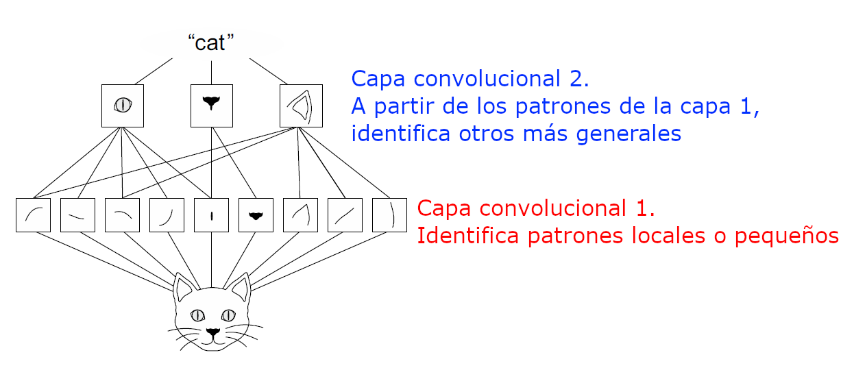 No hay texto alternativo para esta imagen