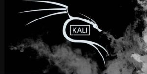 Guía de Instalación de OpenVAS en Kali Linux