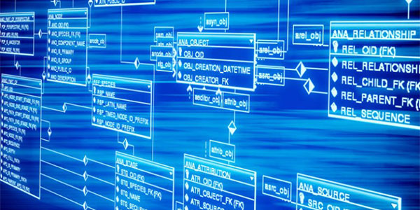 Sobre el problema de la implementación de funciones de base de datos "Fan out" - parte II